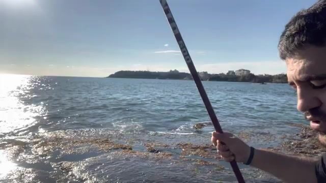 Морской карась на куриную грудку: береговая рыбалка со снастью на шесть метров