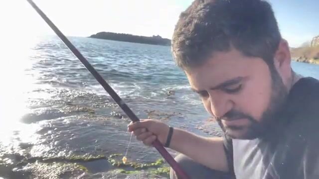 Морской карась на куриную грудку: береговая рыбалка со снастью на шесть метров