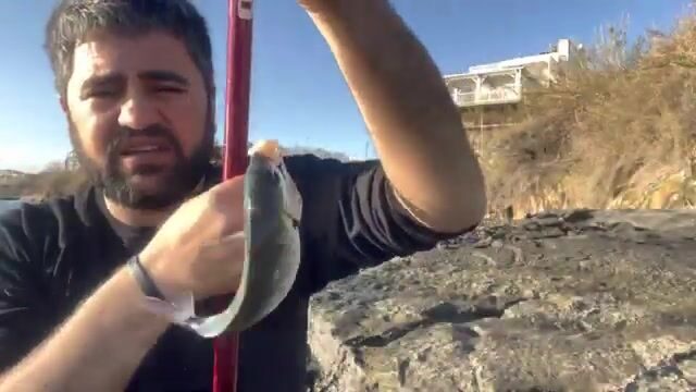 Морской карась на куриную грудку: береговая рыбалка со снастью на шесть метров