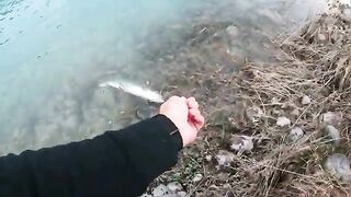 Форель взяла с первого проплыва на канале Текапо