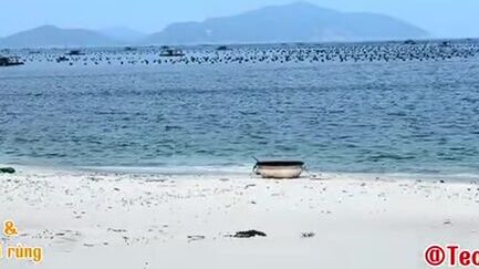 Пикник с неводом на острове Биньба: семейный день у моря и общий улов