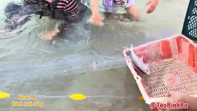 Пикник с неводом на острове Биньба: семейный день у моря и общий улов