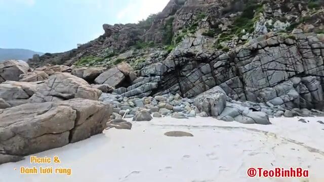 Пикник с неводом на острове Биньба: семейный день у моря и общий улов