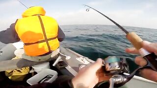 За сарганом на пилькер у Черноморского в Крыму