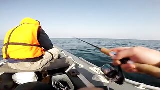 За сарганом на пилькер у Черноморского в Крыму