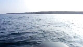 За сарганом на пилькер у Черноморского в Крыму