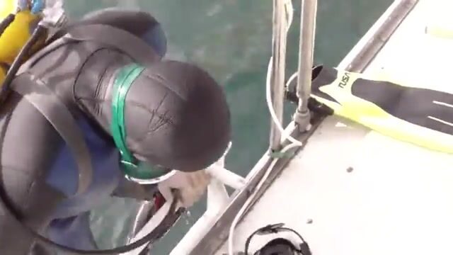 Осенний выход на яхте у Феодосии: разговоры на борту, мидии и отдых в море