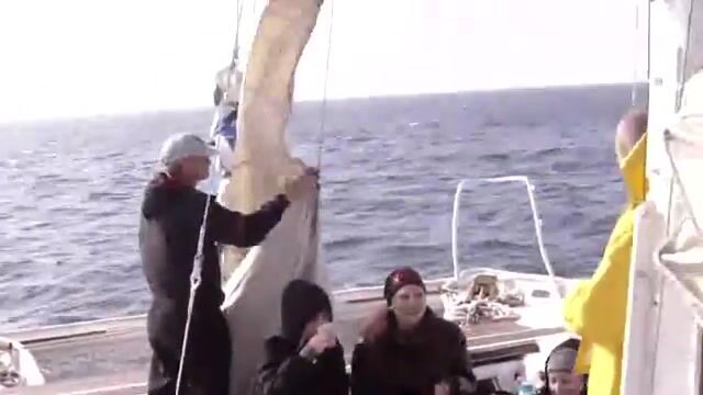 Осенний выход на яхте у Феодосии: разговоры на борту, мидии и отдых в море