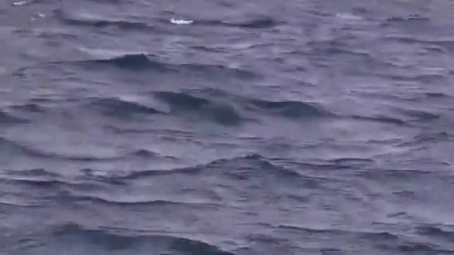 Осенний выход на яхте у Феодосии: разговоры на борту, мидии и отдых в море
