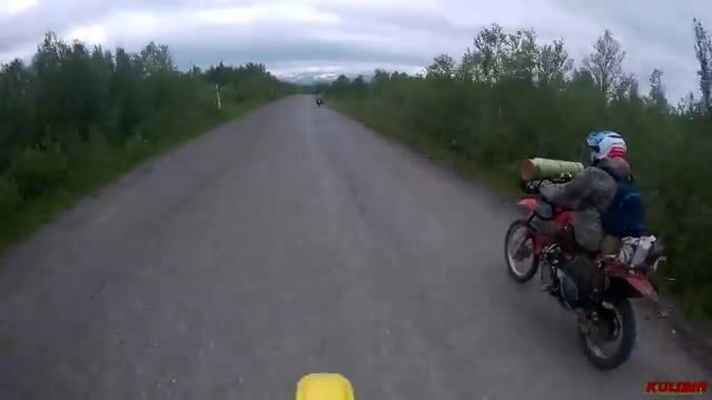 Рыбалка на Кольском полуострове: поиск места у ручья и северная кухня после выезда