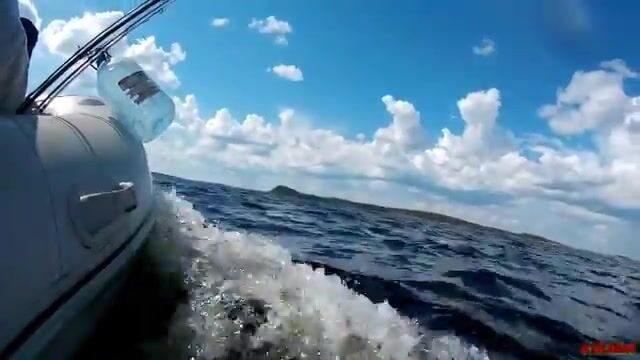 Рыбалка на Кольском полуострове: поиск места у ручья и северная кухня после выезда
