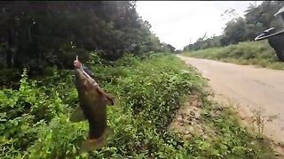 Небольшой лесной водоем по дороге на восток Суринама