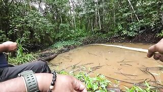 Небольшой лесной водоем по дороге на восток Суринама