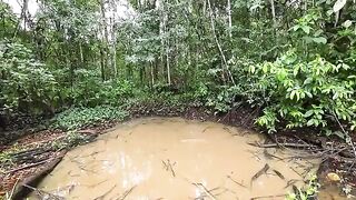 Небольшой лесной водоем по дороге на восток Суринама