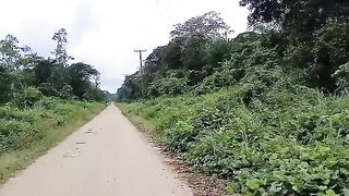 Небольшой лесной водоем по дороге на восток Суринама