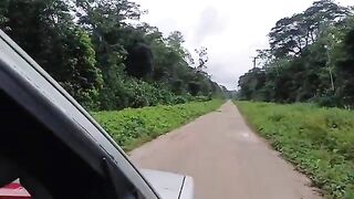 Небольшой лесной водоем по дороге на восток Суринама