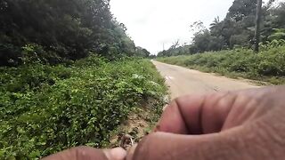 Небольшой лесной водоем по дороге на восток Суринама