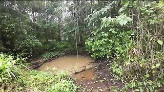 Небольшой лесной водоем по дороге на восток Суринама