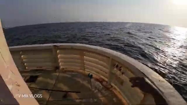 Морская рыбалка с пирса: наживка, поклевка и яркая красная рыба у берега
