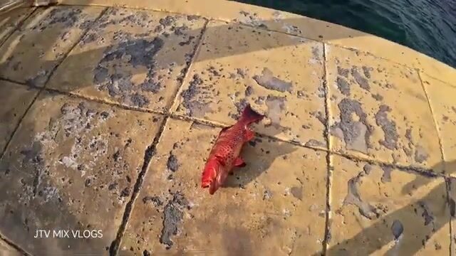 Морская рыбалка с пирса: наживка, поклевка и яркая красная рыба у берега
