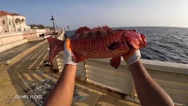 Морская рыбалка с пирса: наживка, поклевка и яркая красная рыба у берега