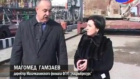 История рыбного порта Махачкалы: старые причалы, каспийская килька и разговор о будущем гавани