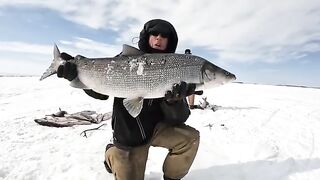 За крупной нельмой на лед Чукотского моря: четыре дня на Аляске