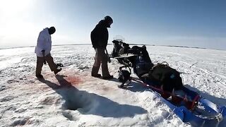 За крупной нельмой на лед Чукотского моря: четыре дня на Аляске