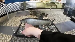 За крупной нельмой на лед Чукотского моря: четыре дня на Аляске