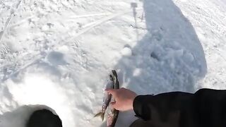 За крупной нельмой на лед Чукотского моря: четыре дня на Аляске