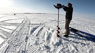 За крупной нельмой на лед Чукотского моря: четыре дня на Аляске