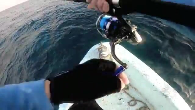 Рыбалка на поппер в Красном море у Судана: путь через Порт-Судан и первая поклевка у рифов