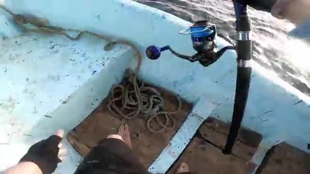 Рыбалка на поппер в Красном море у Судана: путь через Порт-Судан и первая поклевка у рифов