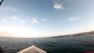 Пеламида взяла джиг на падении у Авсаллара