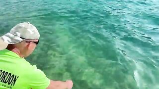 Гюмбет, Турция: дорада у стенки, моллюски и ловля без удилища