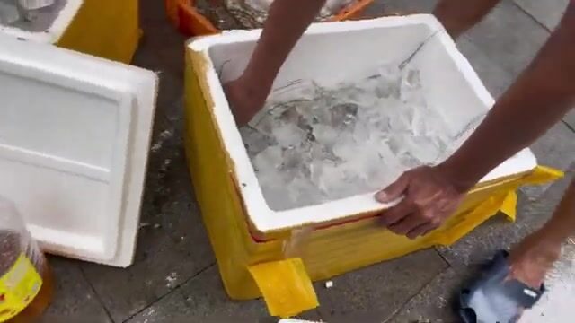 Два дня подводной охоты в бухте Ванфонг: Дамон, морская рыба и ужин у берега