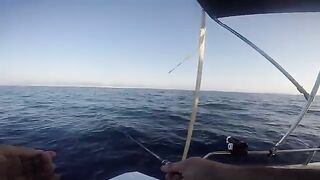 Рассвет и донная рыбалка в бухте Пальмы на Майорке