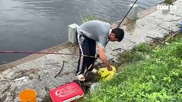 Рыба после сильных дождей в Туихоа: люди пришли к озеру Хошон с удочками и сачками