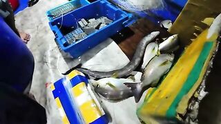 Ночной выход рыбаков у полуострова Шонча в Дананге
