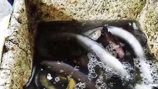 Ночной выход рыбаков у полуострова Шонча в Дананге