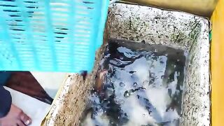 Ночной выход рыбаков у полуострова Шонча в Дананге
