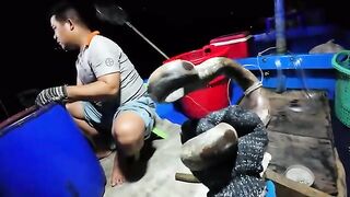 Ночной выход рыбаков у полуострова Шонча в Дананге