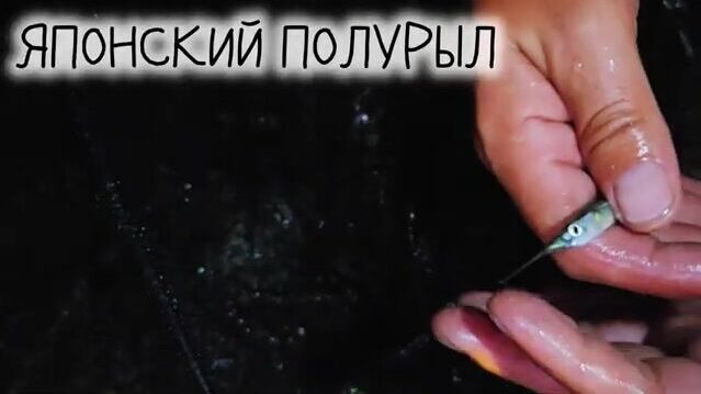 Бухта Витязь и Андреевка в Приморье: гребешковая ферма, бухта Астафьева и дайвинг