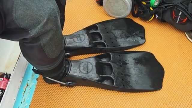 Бухта Витязь и Андреевка в Приморье: гребешковая ферма, бухта Астафьева и дайвинг