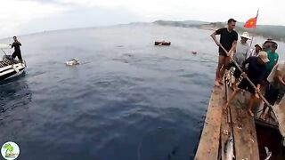 В бухте Виньхи наблюдаем, как местные рыбаки поднимают сеть