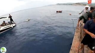 В бухте Виньхи наблюдаем, как местные рыбаки поднимают сеть