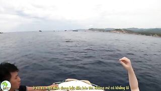 В бухте Виньхи наблюдаем, как местные рыбаки поднимают сеть