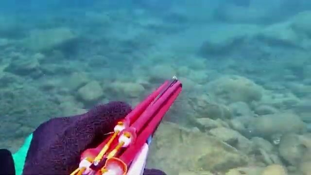 Подводная охота у Кючюкбюка, Бодрум: кефаль среди камней и череда промахов