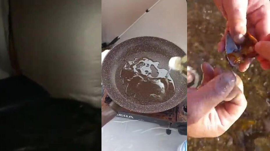 Отдых с палаткой и рыбалка на Шаморе под Владивостоком: сильный ветер и вечер у моря