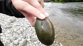 Нимфа, стример и сильная форель на реке Маккензи
